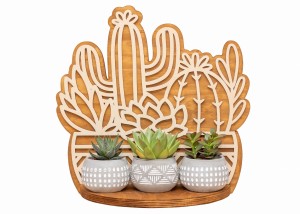 ETAGERE AJOURÉE, CACTUS, BANQUE DE FLEURS, BOHO, BELLE DÉCORATION MURALE